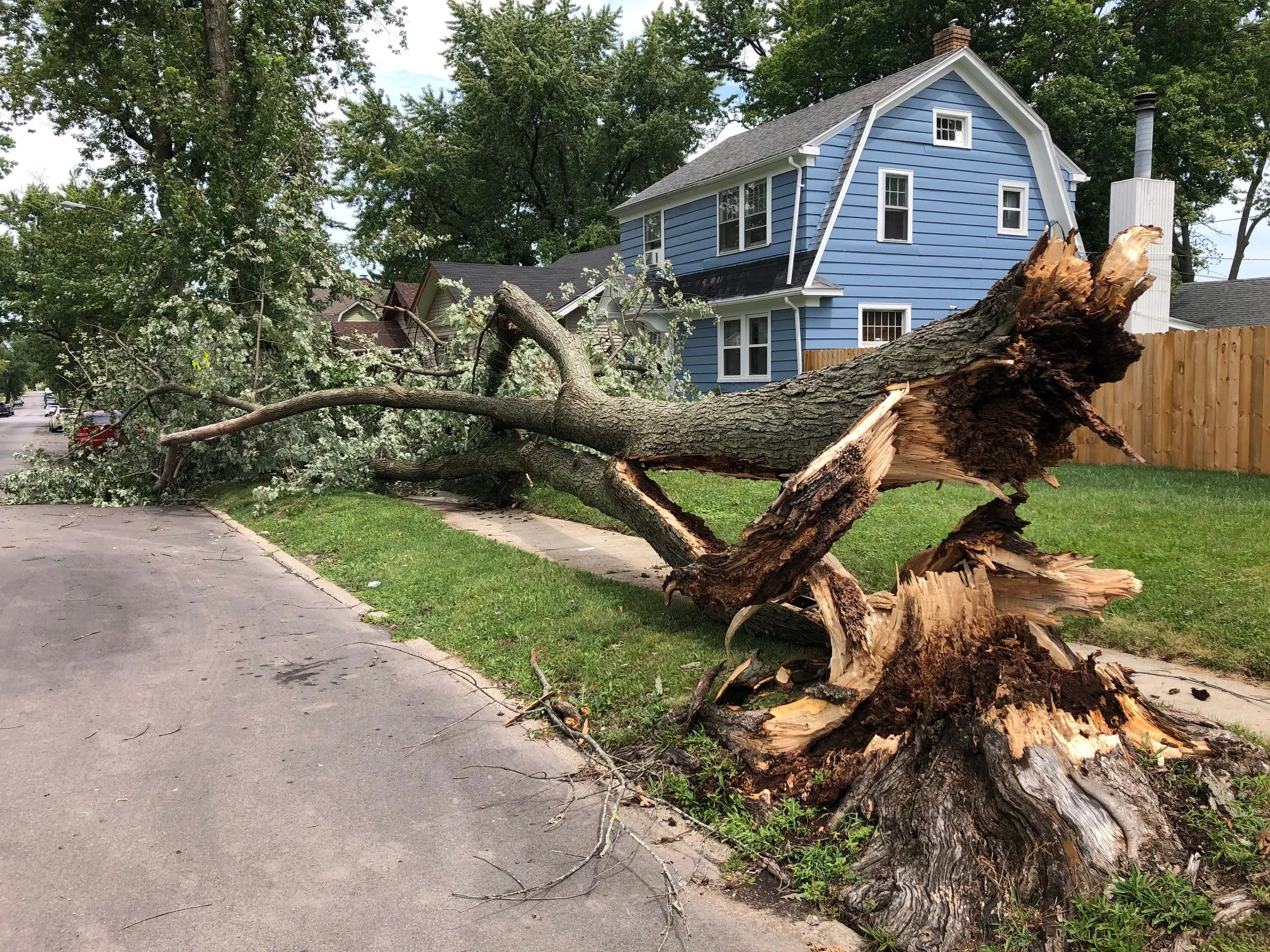 Fallen tree blocking residential street ready for Storm Damage Cleanup